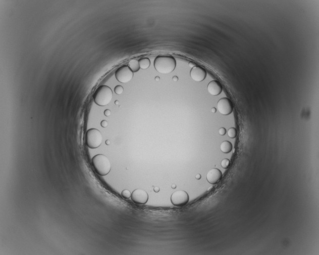 X0000114401126200911131400