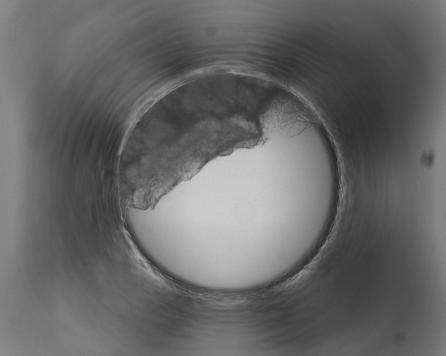 X0000114401129200911131400