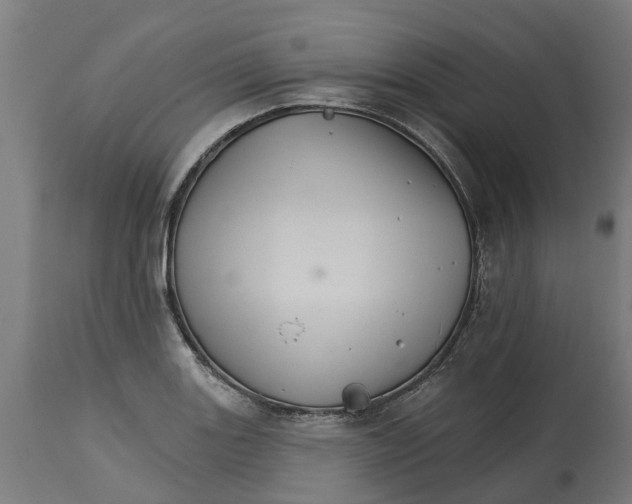 X0000114401131200911131400