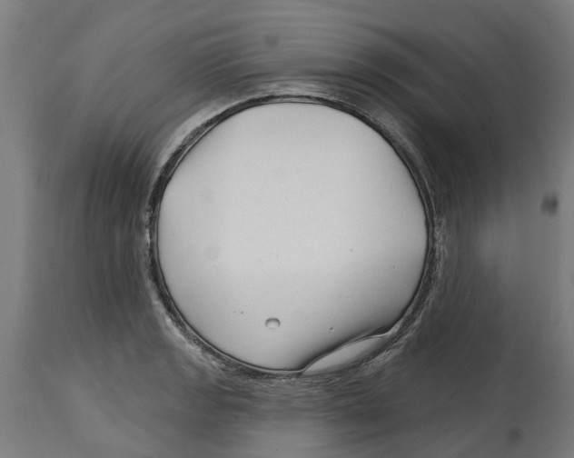 X0000114401133200911131400