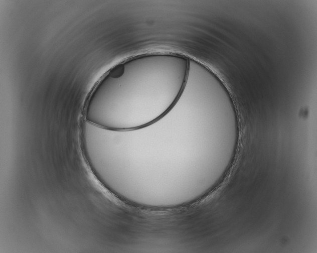 X0000114401134200911131400