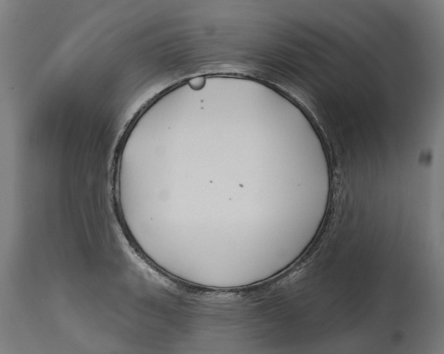 X0000114401135200911131400