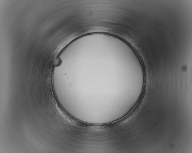 X0000114401137200911131400