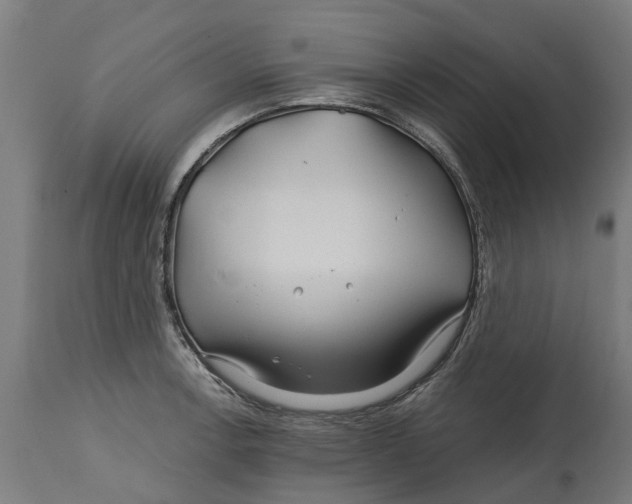 X0000114401138200911131400