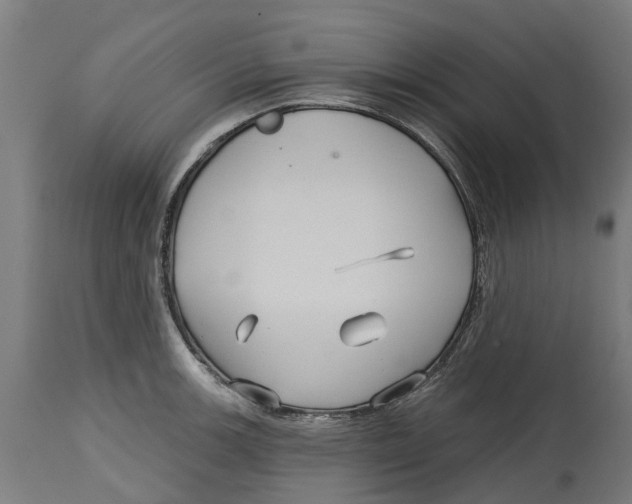 X0000114401139200911131400