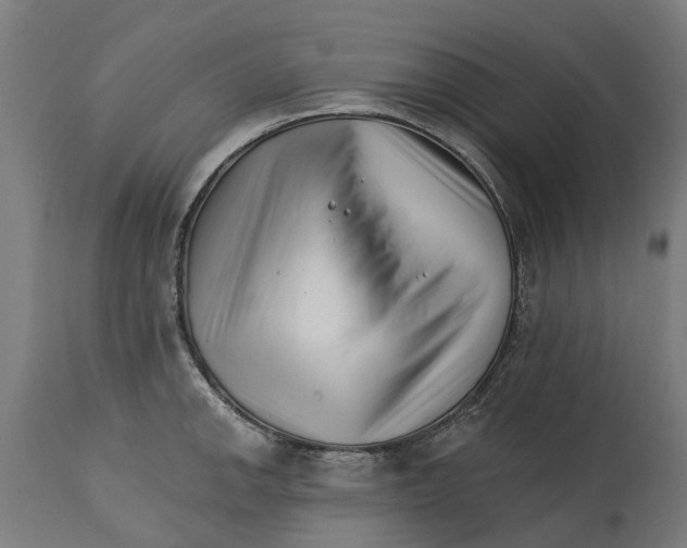 X0000114401142200911131400