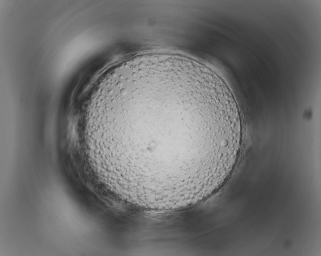 X0000114401150200911131400