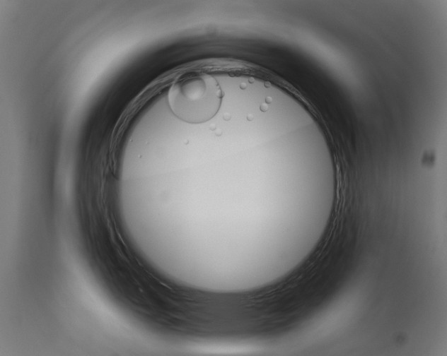 X0000114401151200911131400