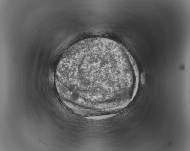 X0000114401155200911131359