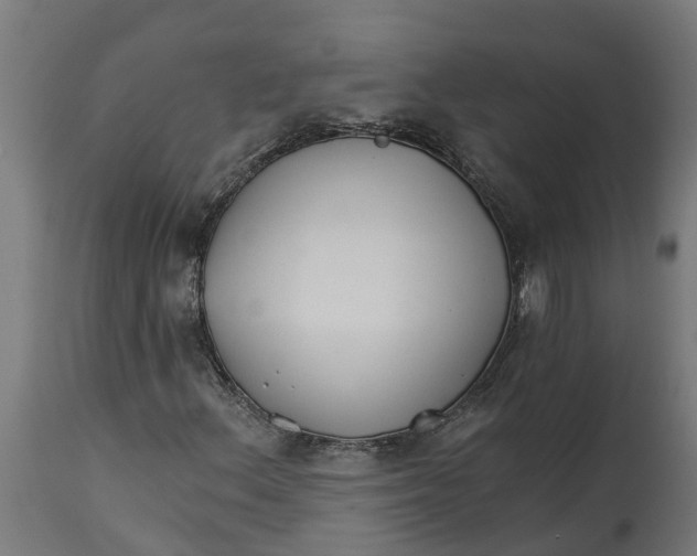 X0000114401156200911131359