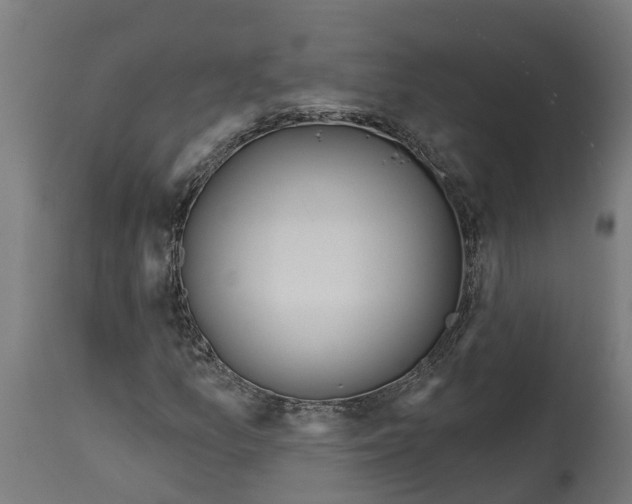 X0000114401157200911131359