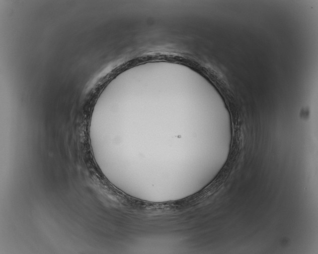 X0000114401159200911131359