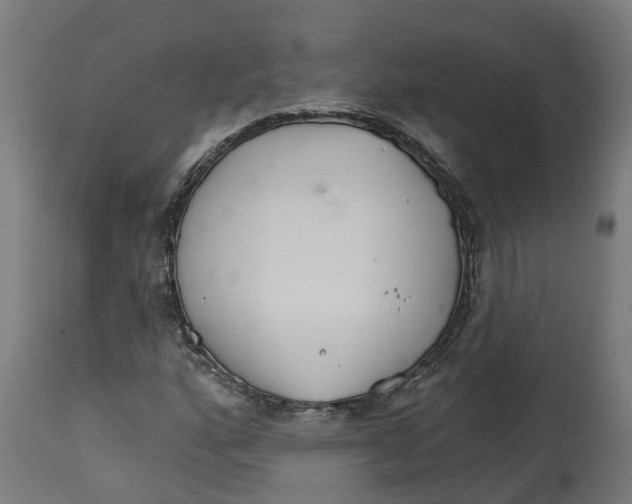 X0000114401160200911131359