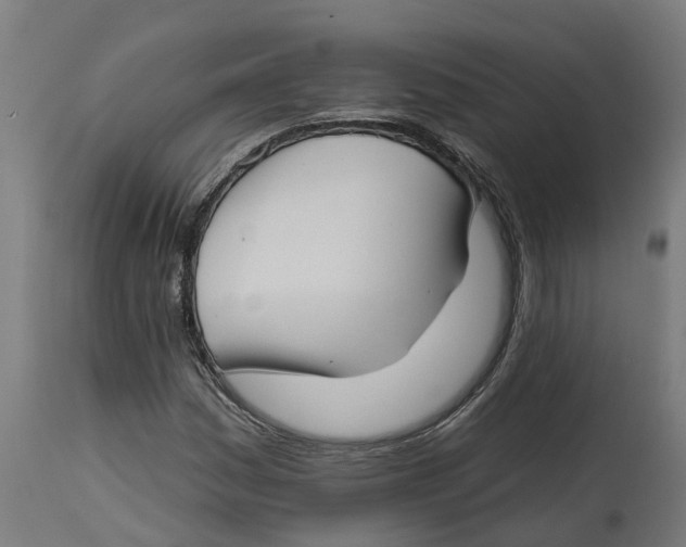 X0000114401161200911131359