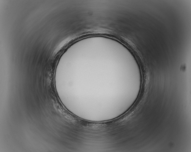 X0000114401163200911131359