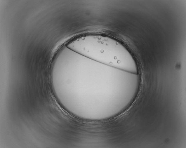 X0000114401164200911131359