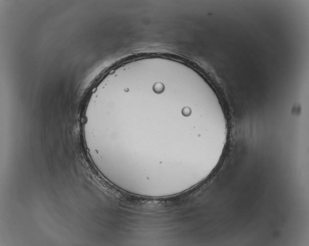 X0000114401167200911131359