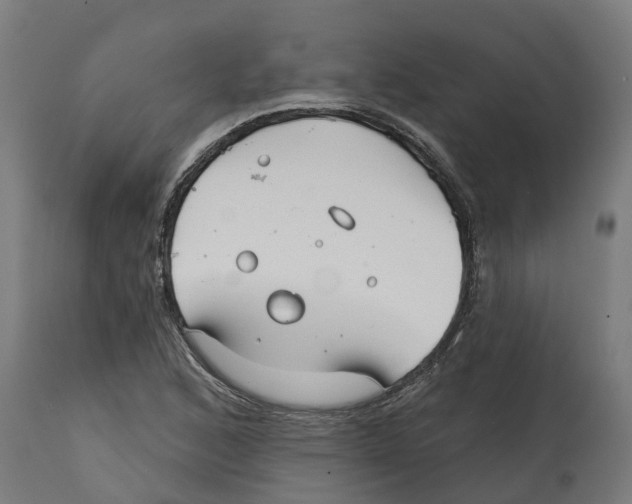 X0000114401168200911131359