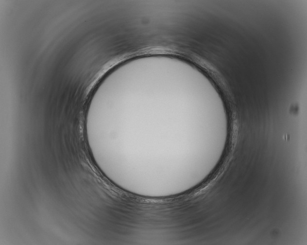 X0000114401170200911131359