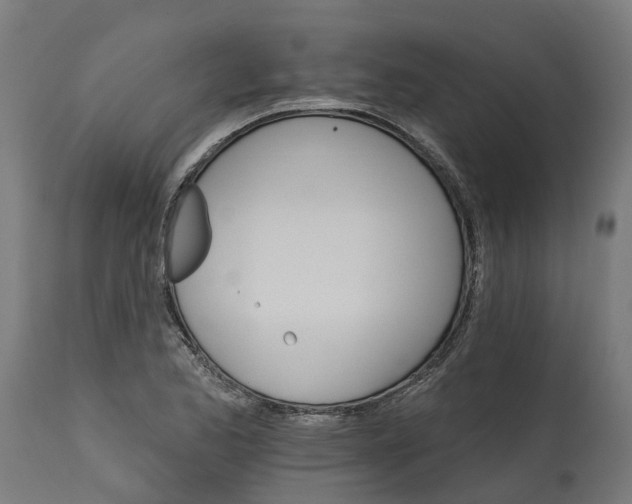 X0000114401173200911131359