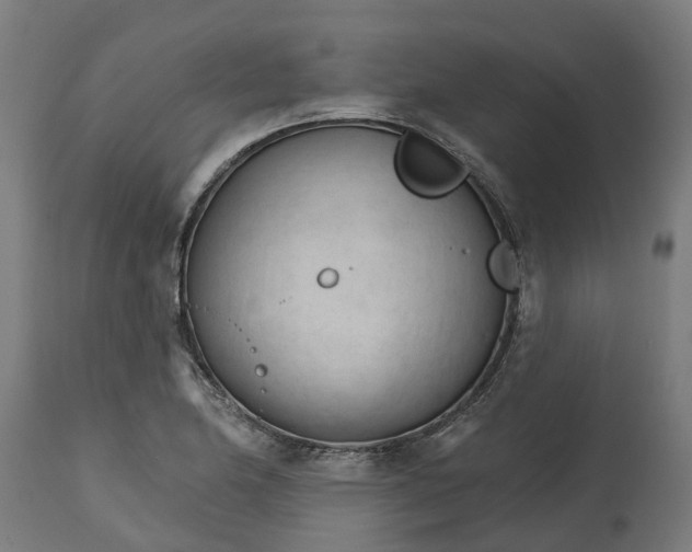 X0000114401174200911131359