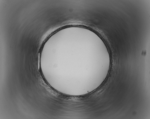 X0000114401175200911131359