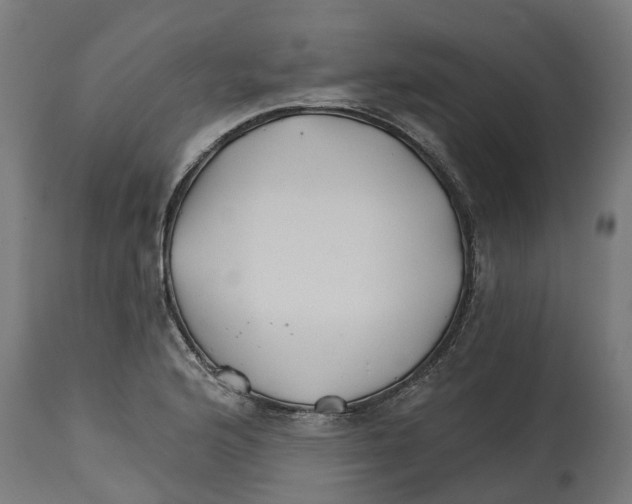 X0000114401176200911131359