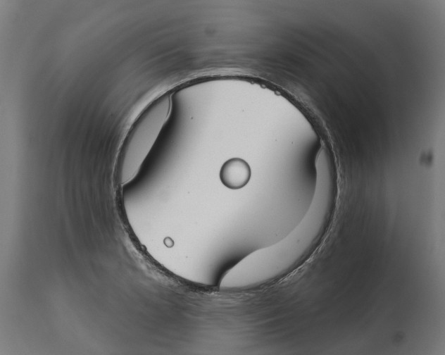 X0000114401181200911131359