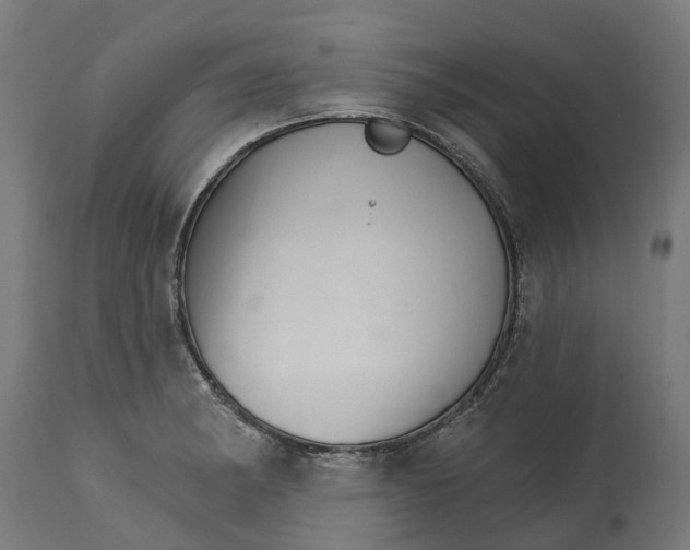 X0000114401182200911131359