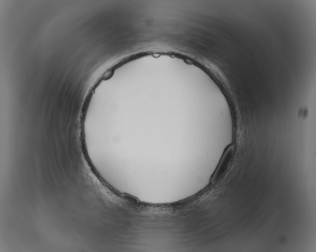 X0000114401183200911131359