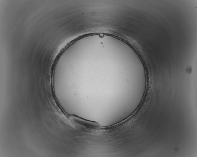 X0000114401184200911131359