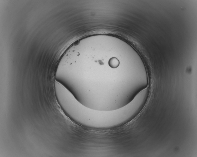 X0000114401185200911131359