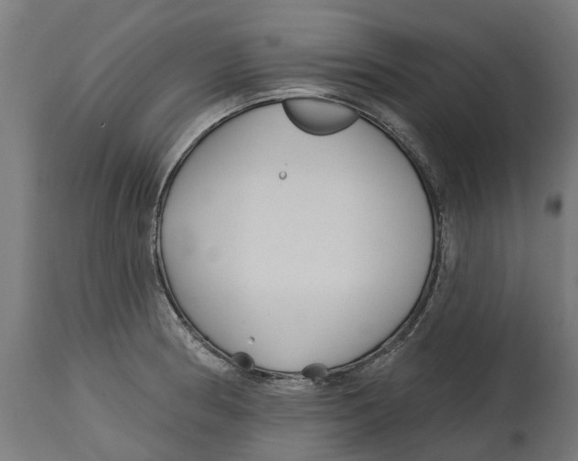 X0000114401186200911131359