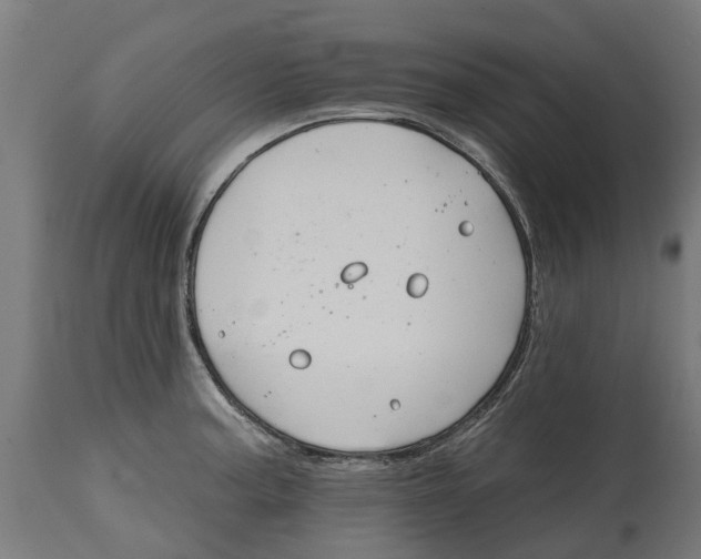 X0000114401187200911131359