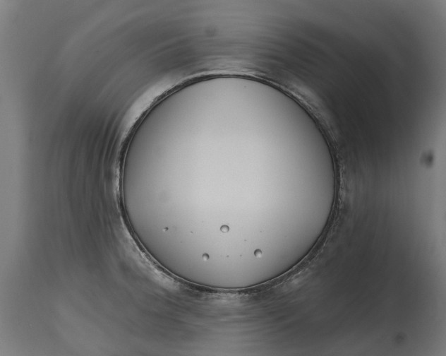 X0000114401188200911131359