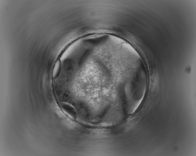 X0000114401189200911131359