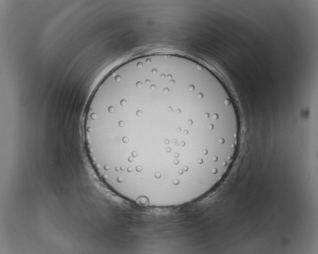 X0000114401190200911131359