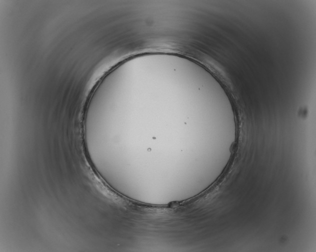 X0000114401192200911131359