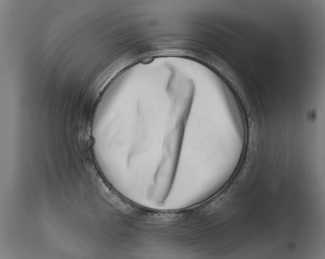 X0000114401193200911131359