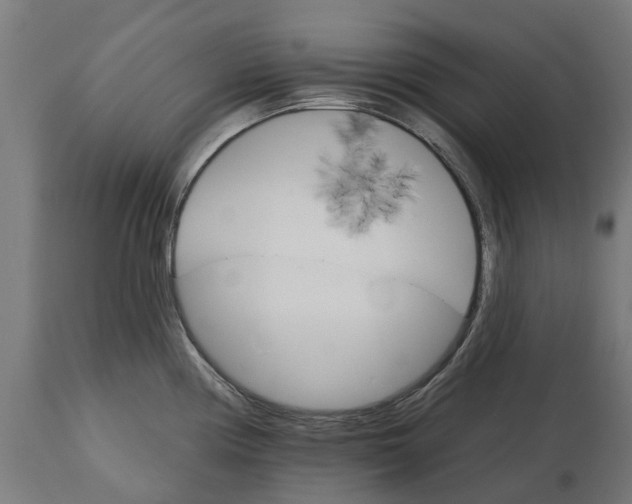 X0000114401194200911131359