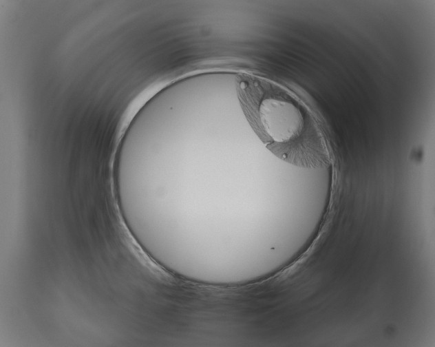 X0000114401196200911131359