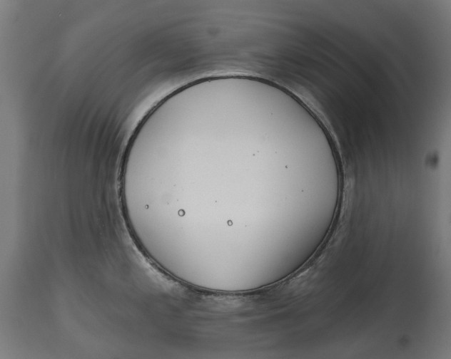 X0000114401197200911131359