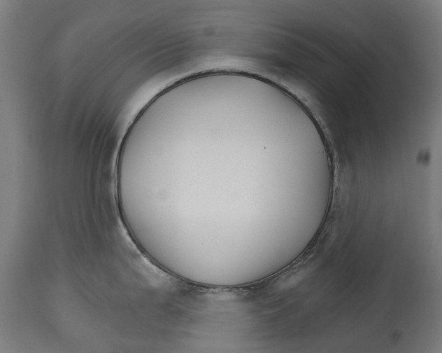 X0000114401199200911131359