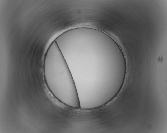 X0000114401200200911131358