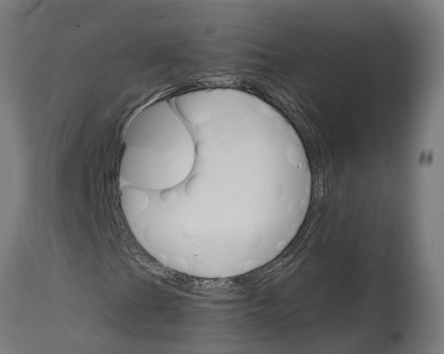 X0000114401201200911131358