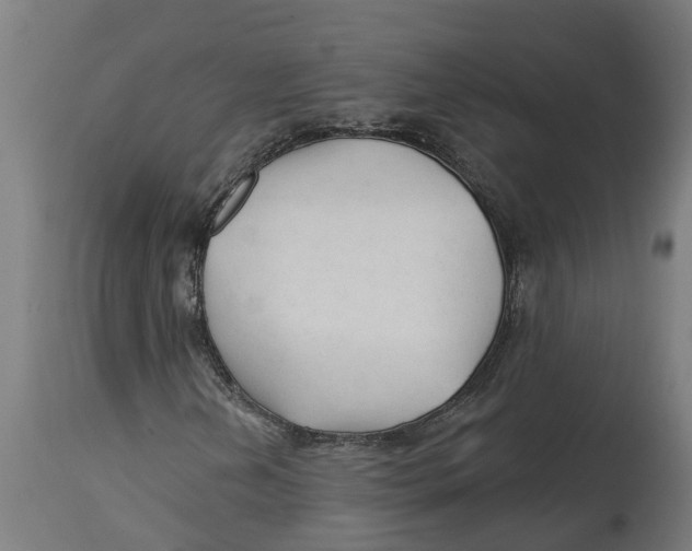 X0000114401202200911131358