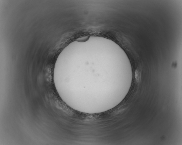 X0000114401203200911131358