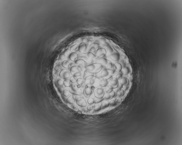 X0000114401205200911131358