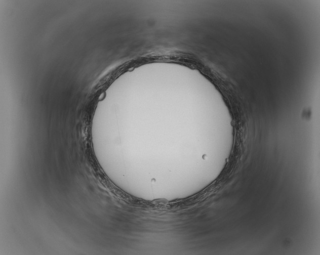 X0000114401206200911131358