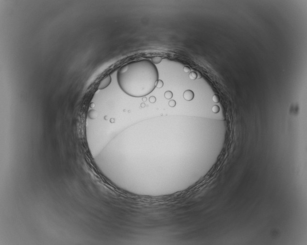 X0000114401208200911131358